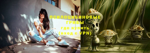 твердый Абинск