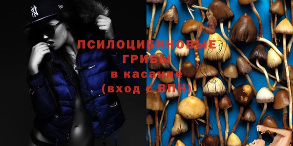 дурь Абаза